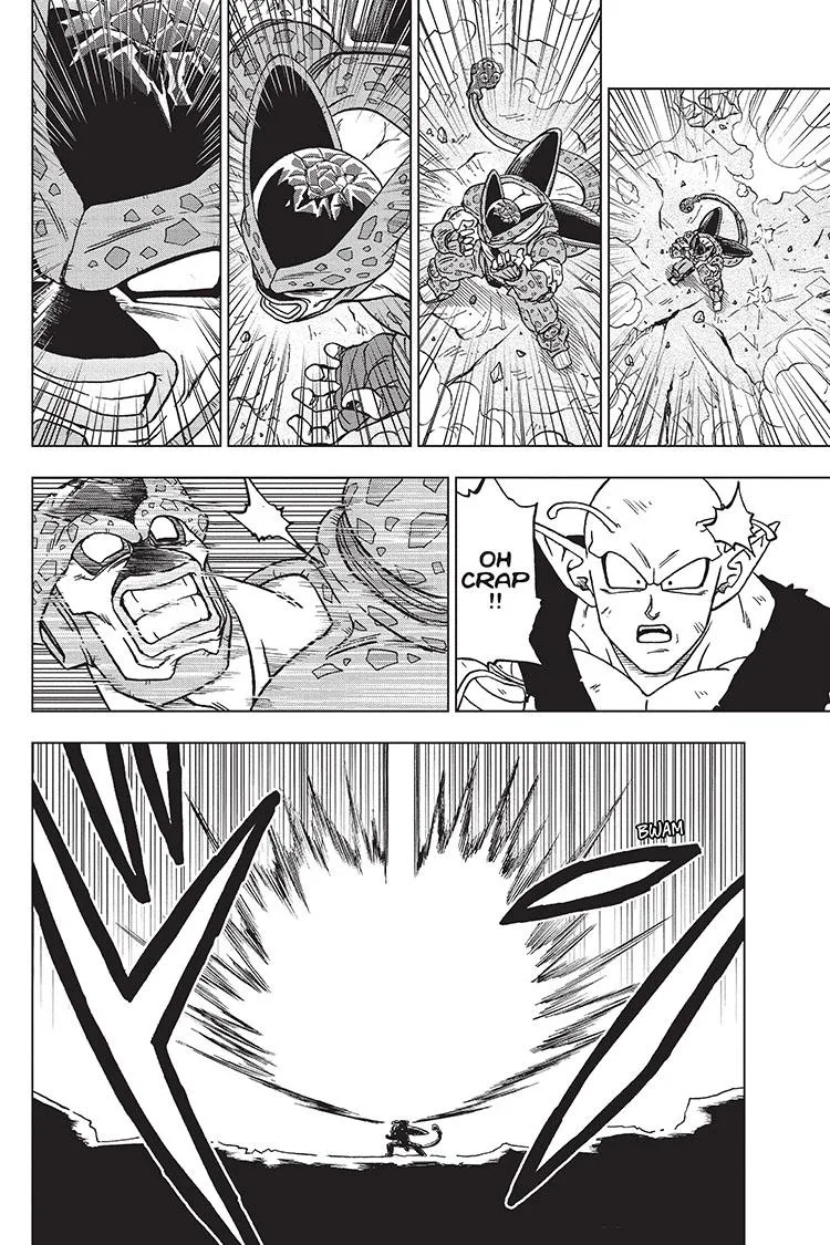 DRAGON BALL SUPER MANGA CHAPTER 98 15 15 91