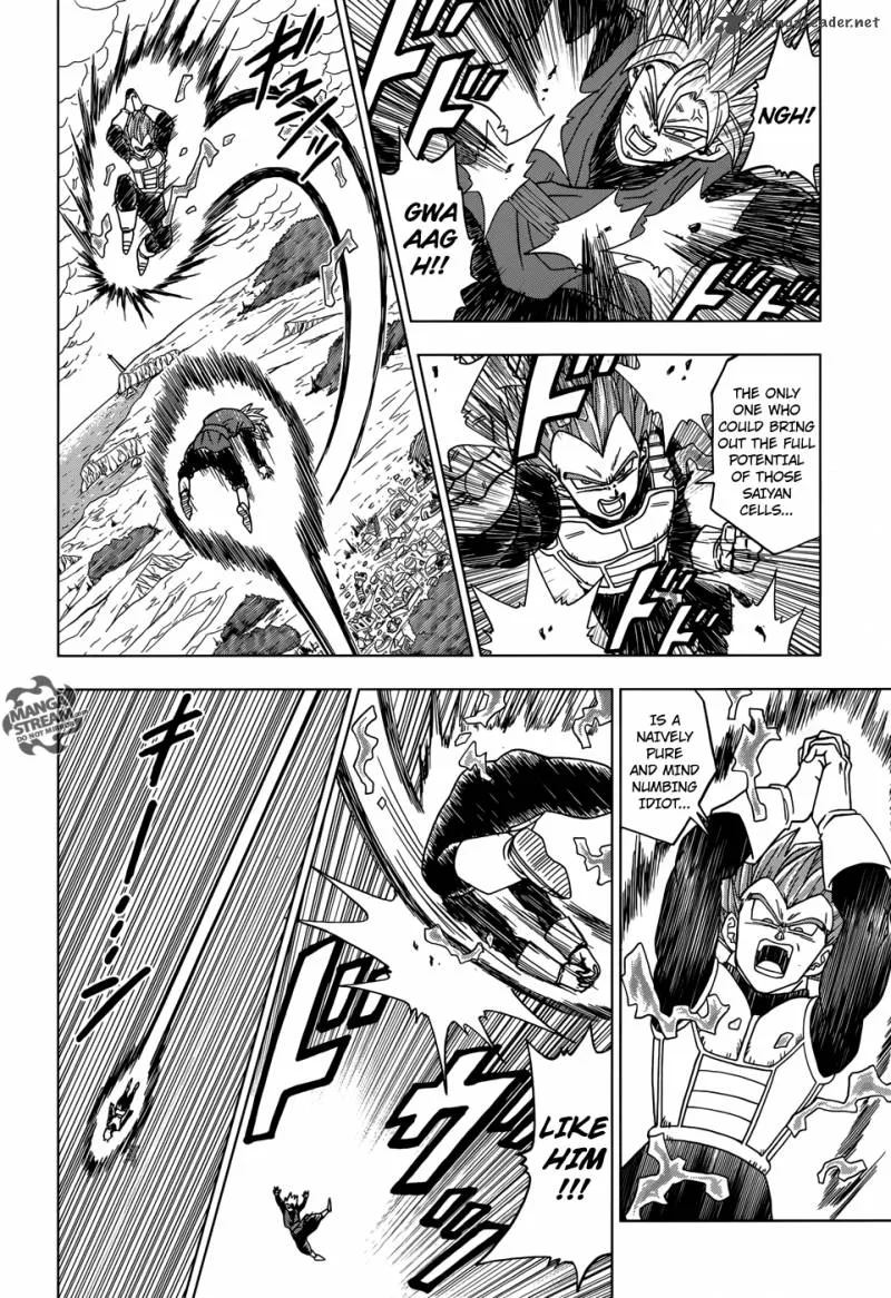 DRAGON BALL SUPER MANGA CHAPTER 19 17 17 9