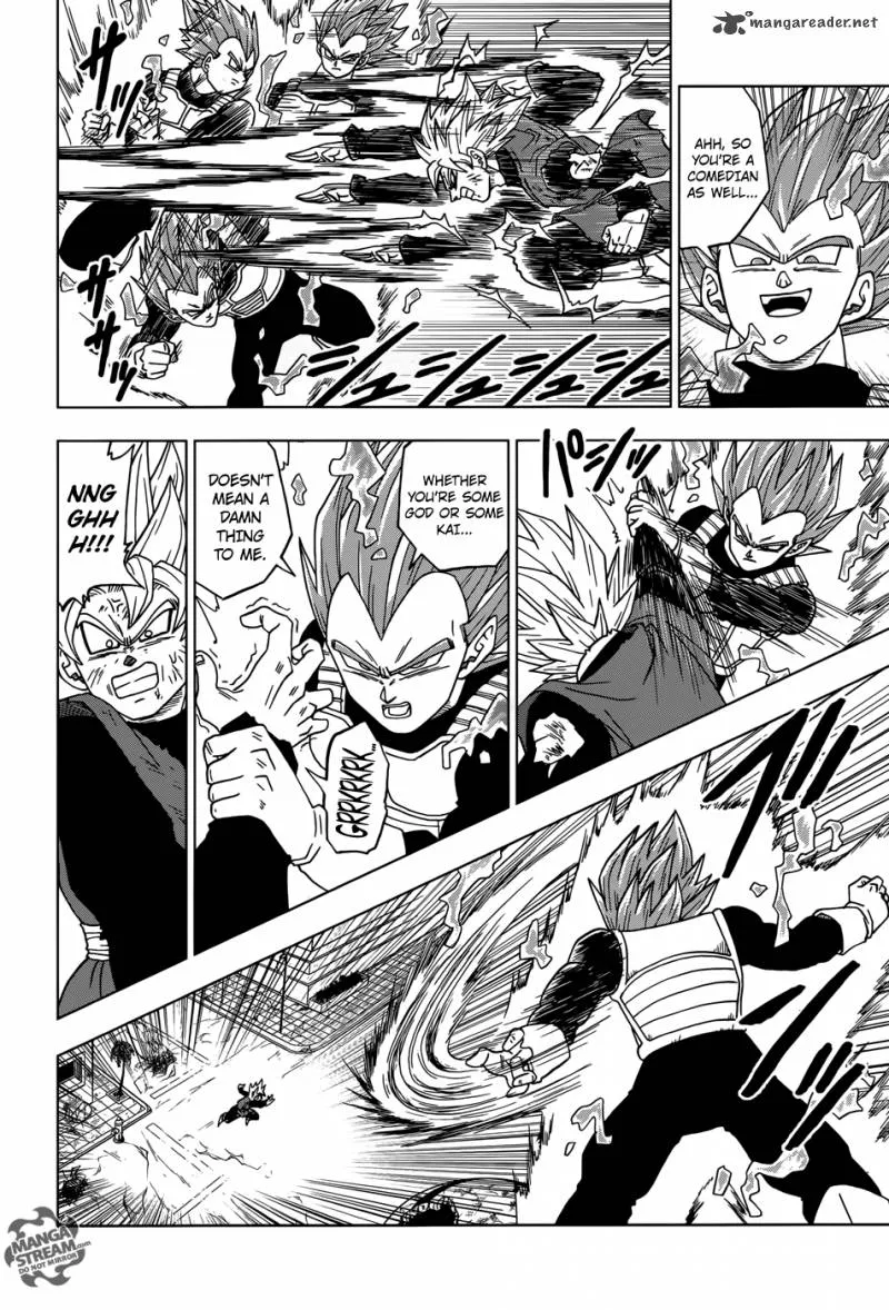 DRAGON BALL SUPER MANGA CHAPTER 19 25 25 7