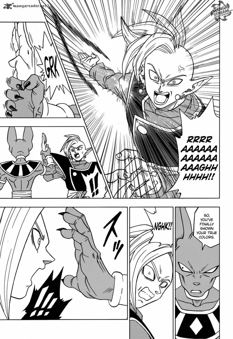 DRAGON BALL SUPER MANGA CHAPTER 19 30 30 7